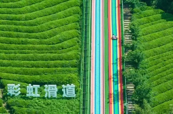 「杭州の農村で盛り上がりを見せる「春の経済」―中国」の画像