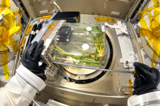 神舟23号の乗組員が水稲実験で新たなサンプルの採集と播種を完了