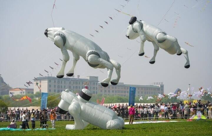 濰坊国際たこ揚げ祭り開催、空に舞うユニークなたこの数々―中国