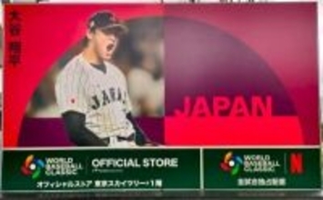 大谷翔平の両親の質素な生活に韓国ネット注目＝「日本人らしい美徳」「大谷が人格者な理由」