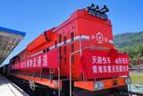 「チベットまでの高原鉄道都市間定期列車、今年の一番列車が出発」の画像1