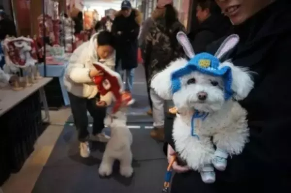 天津で年越しペット用品フェスティバル―中国