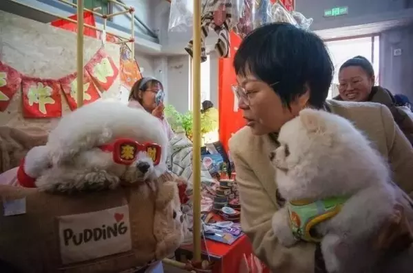 「天津で年越しペット用品フェスティバル―中国」の画像
