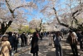 日本の外国人留学生が50万人に迫る、最多の中国人留学生に顕著な特徴―在日華字紙