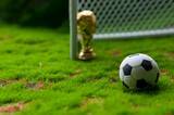 「米が10人以上にビザ発給を拒否 サッカーW杯イラン代表団」の画像1