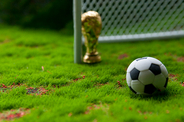 米が10人以上にビザ発給を拒否 サッカーW杯イラン代表団