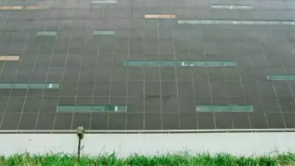 中国、昨年の経済成長の3分の1はクリーンエネルギー―独メディア