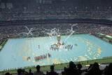 「サッカーW杯、スポンサーに中国のスポーツブランドが少ないのはなぜか―中国メディア」の画像7
