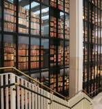 「中国のネット文学38作品が大英図書館に収蔵―中国メディア」の画像1