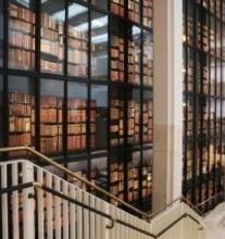 中国のネット文学38作品が大英図書館に収蔵―中国メディア