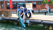 西湖に体長1．4mの「怪魚」出現、スマホ探しや違法行為の監視も―中国メディア