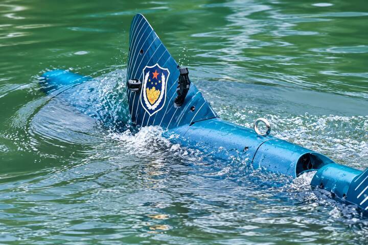 西湖に体長1．4mの「怪魚」出現、スマホ探しや違法行為の監視も―中国メディア