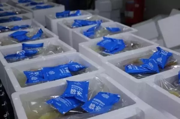 「広西の「チルドタニシ麺」が春節用品の売れ筋に―中国」の画像