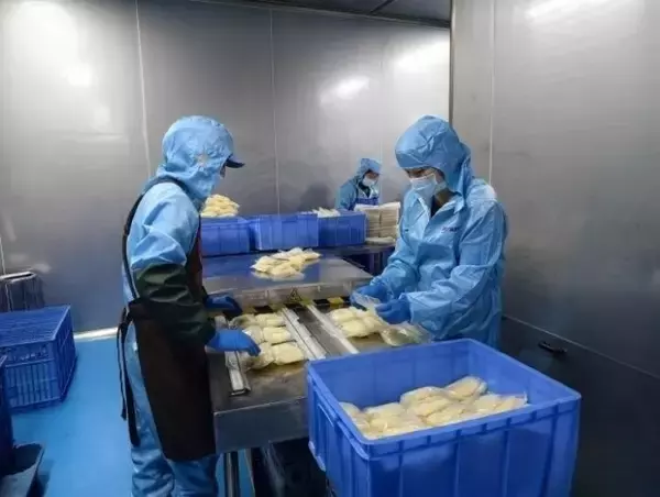 「広西の「チルドタニシ麺」が春節用品の売れ筋に―中国」の画像