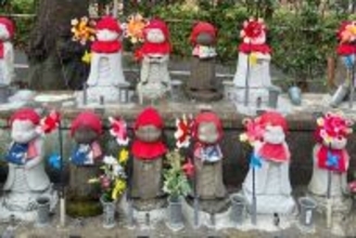 韓国インフルエンサーが日本でウェディング撮影も「なぜそこで？」物議＝ネットには擁護の声も