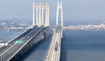 高速列車と自動車の「レース」を見ることができる泉州湾海上大橋―中国