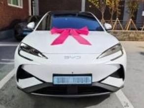 中国BYD、韓国11月輸入乗用車新規登録台数で初のトップ5入り―中国メディア