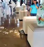 「子どもが大花瓶を破損、博物館の「あまりにも寛大な措置」に疑問の声も―中国メディア」の画像1