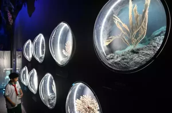 「海南自由貿易港に新たなランドマーク「海南科技館」がオープン―中国」の画像