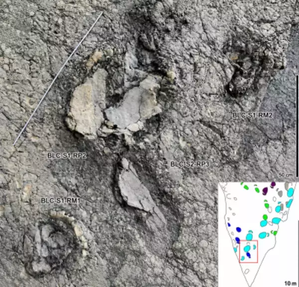 寧夏ホイ族自治区における過去最大の龍脚類恐龍の足跡化石群を発見―中国