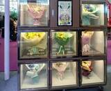 「中国は世界最大の花卉生産国・消費国・貿易国」の画像1