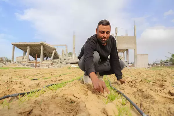 世界で2億6600万人が深刻な食料不安に―世界食料危機報告