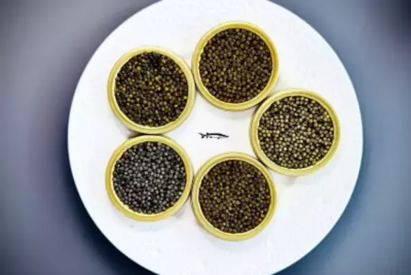 複数の国際情勢も後押しして中国が世界一の「キャビア輸出国」に―仏メディア