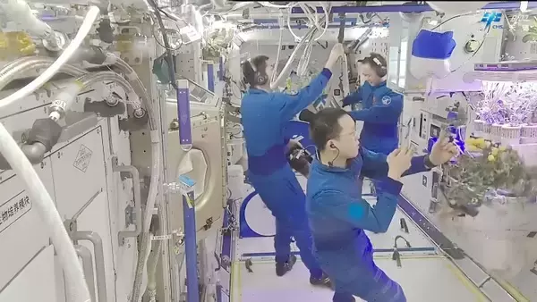 「「神舟21号」乗組員の最新の活動報告、「宇宙トマトが豊作」など―中国」の画像