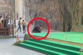 クマが公演中に飼育員に襲いかかる、近くにいたスタッフらが助けに入り引き離す―中国