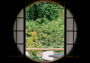 なぜこんなに多くの人が日本への一人旅を好むのか―中国メディア