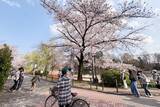 「東京と大阪が人気トップ2、清明節連休の台湾人海外家族旅行―台湾メディア」の画像1