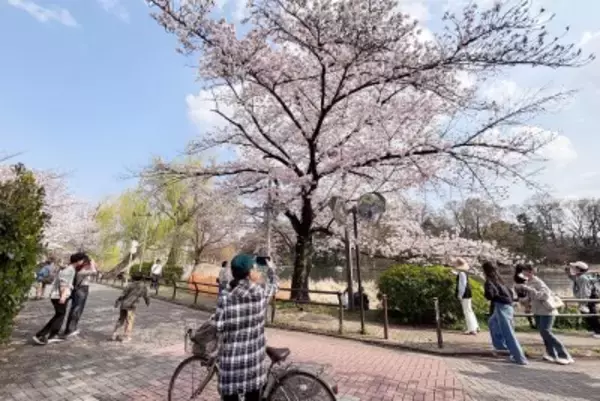 「東京と大阪が人気トップ2、清明節連休の台湾人海外家族旅行―台湾メディア」の画像