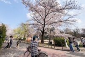 東京と大阪が人気トップ2、清明節連休の台湾人海外家族旅行―台湾メディア
