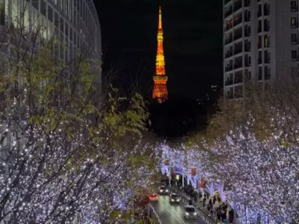 「日本経済は中国人頼みではないようだ」＝訪日中国人の投稿に中国ネット民が反応