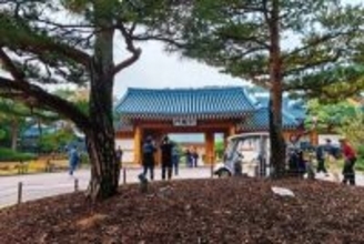 韓国が観光業を「大手術」、李大統領自らが「執刀医」に―中国メディア