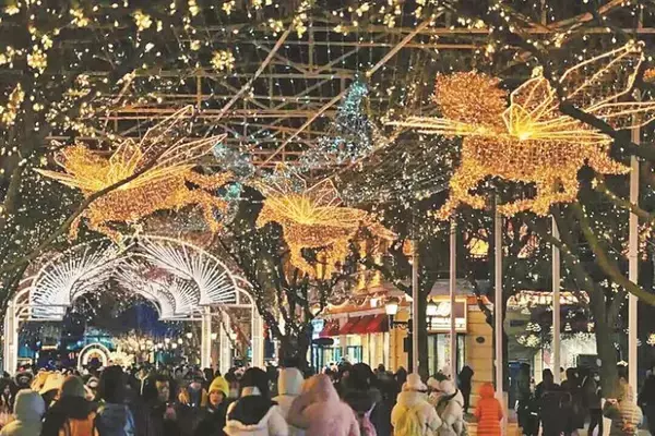 ハルビンの歩行者天国、大学院生がイルミネーションをデザイン―中国