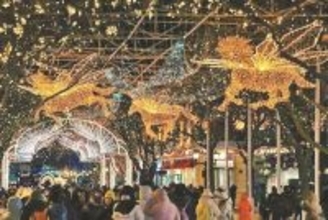 ハルビンの歩行者天国、大学院生がイルミネーションをデザイン―中国