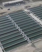 「砂漠産」の新鮮な水産物、新疆の第1四半期の水産物の生産量が2．6万トンに