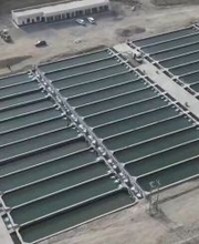 「砂漠産」の新鮮な水産物、新疆の第1四半期の水産物の生産量が2．6万トンに