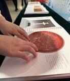 「中国の出版社が視覚障害者向け触図付き点字図書を発刊、故宮博物院所蔵文化財を再現」の画像1