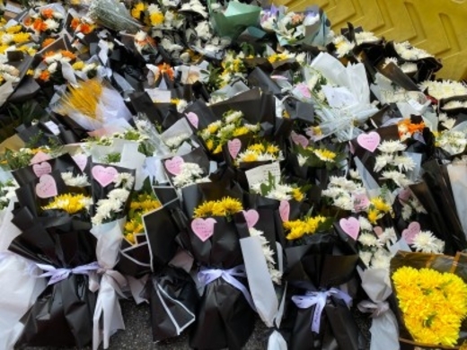 1月1日の誕生花 花言葉は 永久の幸福 19年2月15日 エキサイトニュース