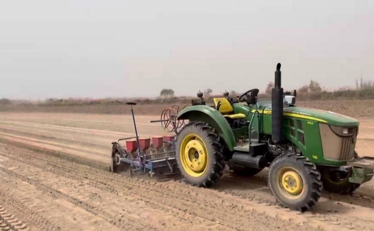 新疆南部 綿花栽培 収穫の機械化が一般化 21年6月16日 エキサイトニュース