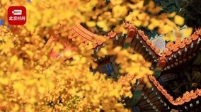 秋色の故宮角楼、引き立て合う神獣とイチョウの黄葉―北京市