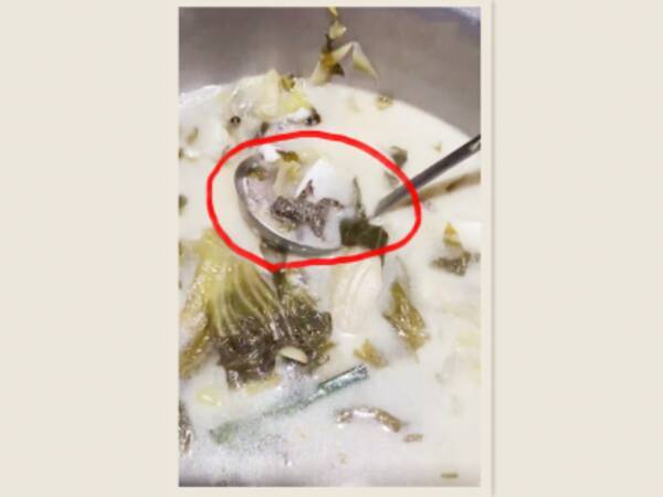 川魚と青菜の漬物を煮込んだ料理の中から死んだヒキガエル 中国蘇州市の飲食店 21年10月24日 エキサイトニュース