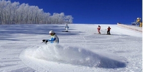ECセールで「氷・雪」テーマの旅行商品予約数が前年同期比206％増に―中国