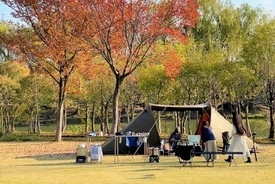 「40代以上のカップルはお断り」韓国のキャンプ場が物議