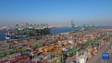 天津港の年間コンテナ処理能力が過去最高を更新―中国