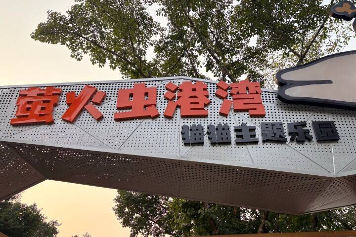 ＜写真特集＞重慶に誕生した猫の楽園、保護猫が主役のテーマパーク　　