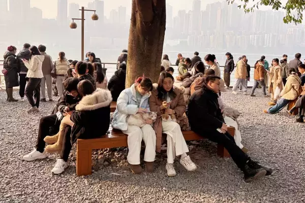 「＜写真特集＞重慶に誕生した猫の楽園、保護猫が主役のテーマパーク　　」の画像