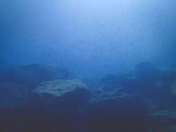 日本が深海レアアース泥の試掘に成功、中国ネット「精錬できるのか？」「一切売らなければ」